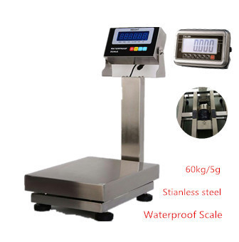 60kg/5g Stainless Steel Industrial Weighing Machine IP67 AC 220V 50Hz / AC110V 60Hz