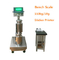 Electronic 150kg/10g Industrial Weighing Scales Bench Scale STAINLESS STEEL 220VAC supplier