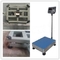 0.1t 300x300mm Industrial Weighing Scales 100kg Electronic Weighing Machine supplier